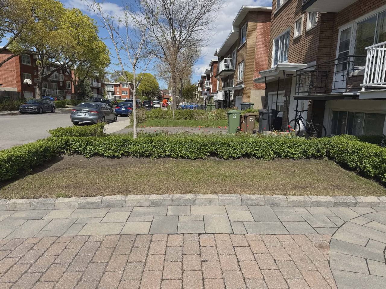 Residential lawn before new sod installation