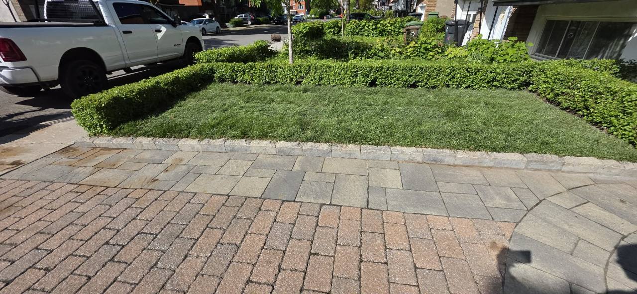 Residential lawn after new sod installation