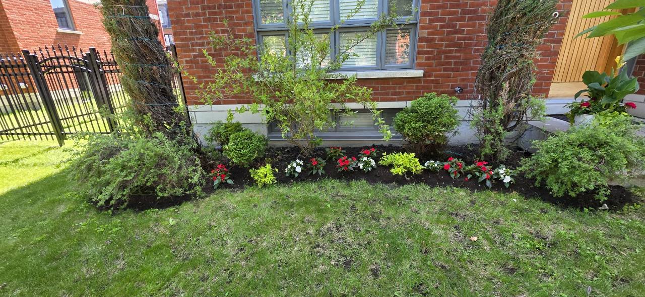 Cleaned and planted garden bed